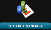 situatie financiara